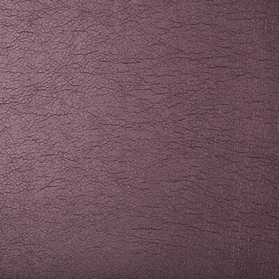 Kravet Contract MAXIMO.10.0 Maximo Upholstery Fabric in Plum , Purple , Garnet