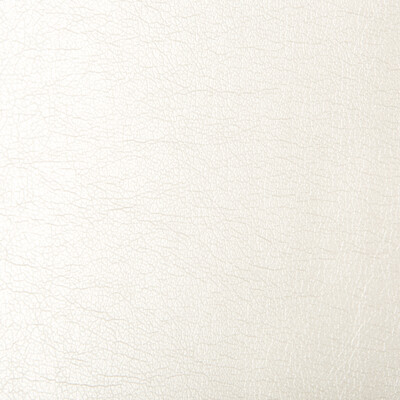 Kravet Contract MAXIMO.111.0 Maximo Upholstery Fabric in Ivory , Ivory , Opal