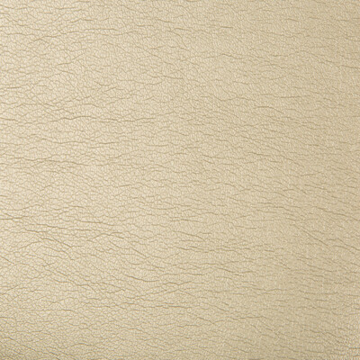 Kravet Contract MAXIMO.16.0 Maximo Upholstery Fabric in Beige , Beige , Pewter