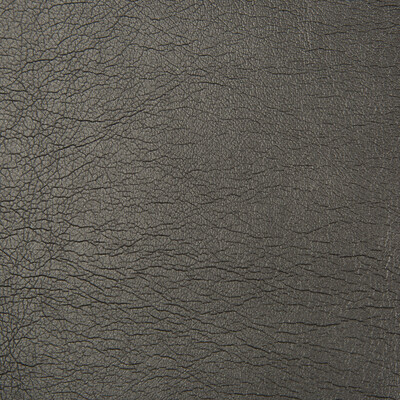 Kravet Contract MAXIMO.8.0 Maximo Upholstery Fabric in Black , Black , Obsidian