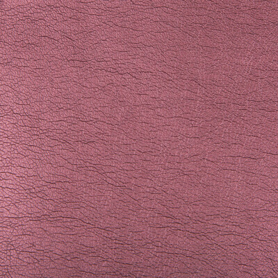Kravet Contract MAXIMO.97.0 Maximo Upholstery Fabric in Fuschia , Pink , Thistle
