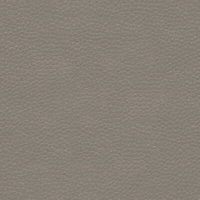 Kravet Couture METALISKIN.11.0 Metaliskin Upholstery Fabric in Grey , Grey , Pewter