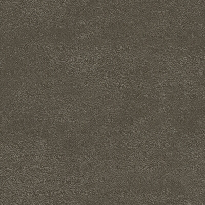 Kravet Couture METALS.11.0 Metals Upholstery Fabric in Grey , Grey , Pewter