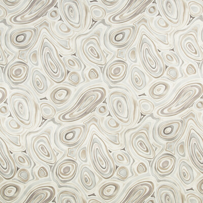 Kravet Couture MUCCI.1611.0 Mucci Multipurpose Fabric in Ivoire/Beige/Light Grey/Grey