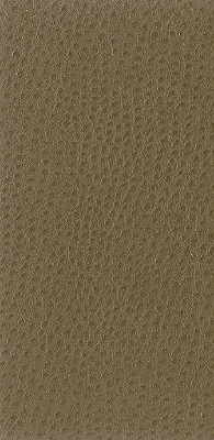 Kravet Basics NUOSTRICH.106.0 Kravet Basics Upholstery Fabric in Brown , Brown , Nuostrich-106