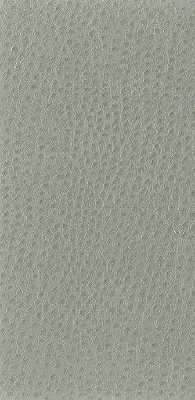 Kravet Basics NUOSTRICH.11.0 Kravet Basics Upholstery Fabric in Grey ,  , Nuostrich-11