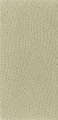 Kravet Basics NUOSTRICH.116.0 Kravet Basics Upholstery Fabric in Beige ,  , Nuostrich-116
