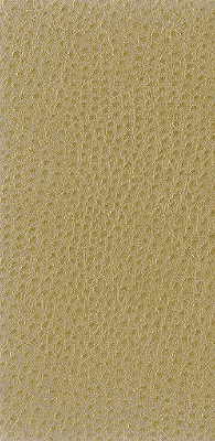 Kravet Basics NUOSTRICH.16.0 Kravet Basics Upholstery Fabric in Beige ,  , Nuostrich-16