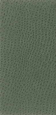 Kravet Basics NUOSTRICH.3.0 Kravet Basics Upholstery Fabric in Green ,  , Nuostrich-3
