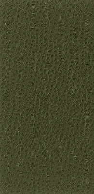 Kravet Basics NUOSTRICH.30.0 Kravet Basics Upholstery Fabric in Green ,  , Nuostrich-30