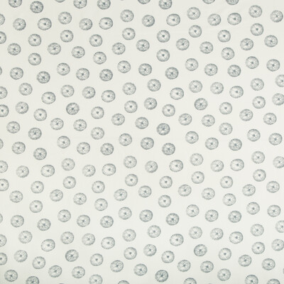 Kravet Basics ONSHORE.11.0 Onshore Multipurpose Fabric in White , Slate , Slate