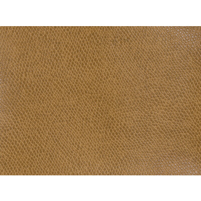Kravet Contract OPHIDIAN.124.0 Ophidian Upholstery Fabric in Orange , Orange , Cognac