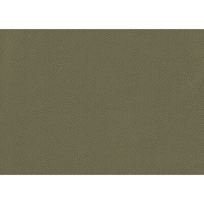 Kravet Contract OPHIDIAN.3.0 Ophidian Upholstery Fabric in Beige , Green , Sage
