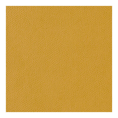 Kravet Contract OPHIDIAN.4.0 Ophidian Upholstery Fabric in Sunflower/Yellow