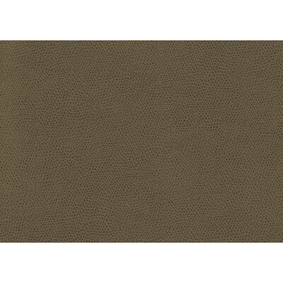 Kravet Contract OPHIDIAN.606.0 Ophidian Upholstery Fabric in Brown , Brown , Bark