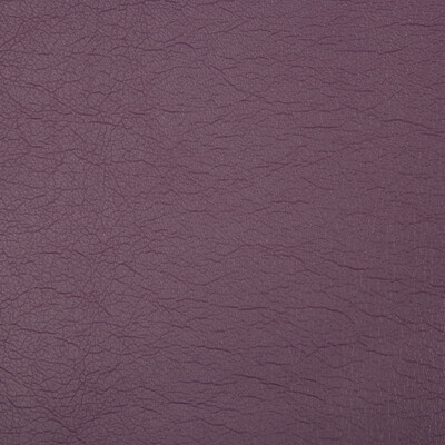 Kravet Contract OPTIMA.10.0 Optima Upholstery Fabric in Plum , Plum , Jam