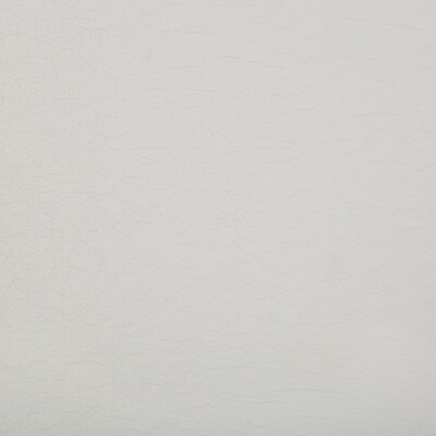Kravet Contract OPTIMA.11.0 Optima Upholstery Fabric in Light Grey , Light Grey , Dove