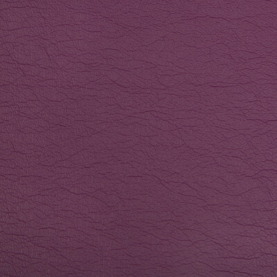 Kravet Contract OPTIMA.110.0 Optima Upholstery Fabric in Purple , Plum , Wisteria