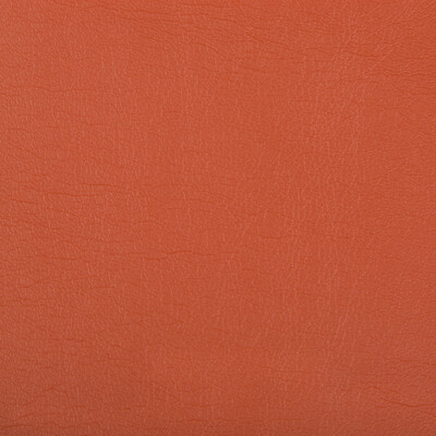 Kravet Contract OPTIMA.12.0 Optima Upholstery Fabric in Orange , Orange , Nectarine