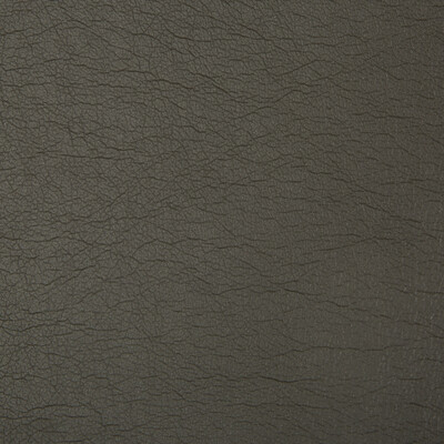 Kravet Contract OPTIMA.21.0 Optima Upholstery Fabric in Charcoal , Charcoal , Bronco