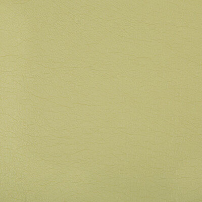 Kravet Contract OPTIMA.23.0 Optima Upholstery Fabric in Celery , Celery , Wasabi