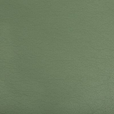 Kravet Contract OPTIMA.3.0 Optima Upholstery Fabric in Olive Green , Olive Green , Jade
