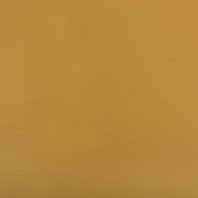 Kravet Contract OPTIMA.4.0 Optima Upholstery Fabric in Camel , Camel , Ochre