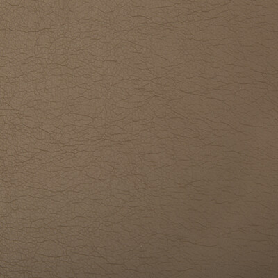 Kravet Contract OPTIMA.606.0 Optima Upholstery Fabric in Taupe , Taupe , Praline