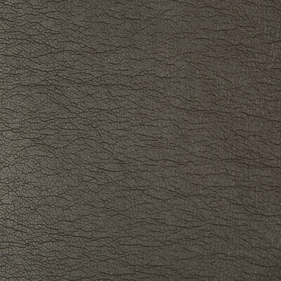 Kravet Contract OPTIMA.86.0 Optima Upholstery Fabric in Espresso , Black , Chocolate