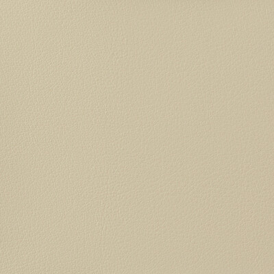 Kravet Basics OTTO.1116.0 Kravet Basics Upholstery Fabric in Ivory , Ivory , Otto-1116