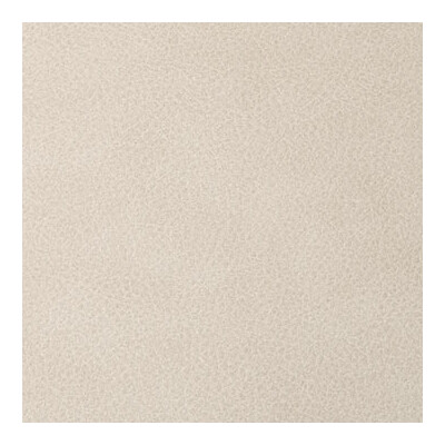 Kravet Contract OVERLOOK.16.0 Overlook Upholstery Fabric in Desert/Beige