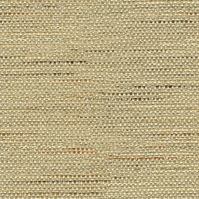 Baker Lifestyle PF50381.110.0 Satara Multipurpose Fabric in Linen/Beige/Brown/Grey