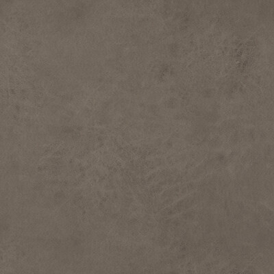 Baker Lifestyle PF50412.935.0 Lexham Upholstery Fabric in Woodsmoke/Grey