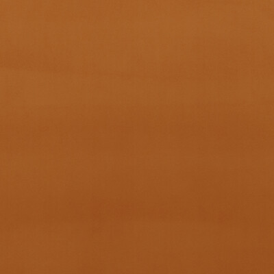 Baker Lifestyle PF50417.330.0 Montpellier Velvet Multipurpose Fabric in Spice/Orange