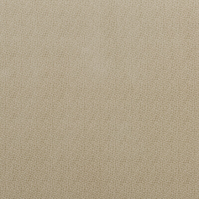 Baker Lifestyle PF50423.225.0 Salsa Spot Upholstery Fabric in Parchment/Beige