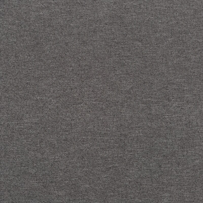Baker Lifestyle PF50440.970.0 Melbury Upholstery Fabric in Graphite/Grey