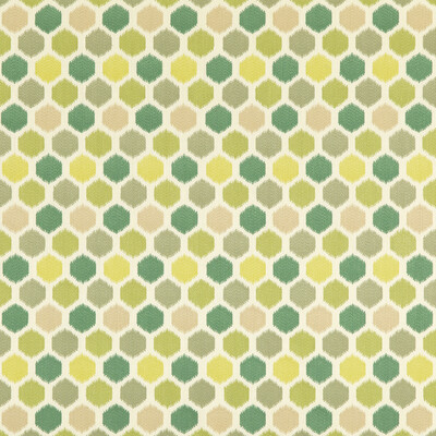 Baker Lifestyle PF50470.3.0 Pinata Multipurpose Fabric in Emerald/Green
