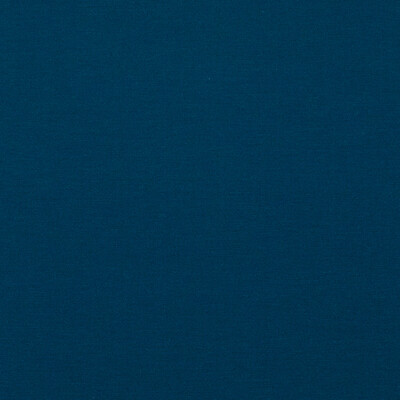 Baker Lifestyle PF50478.680.0 Pavilion Multipurpose Fabric in Indigo/Dark Blue
