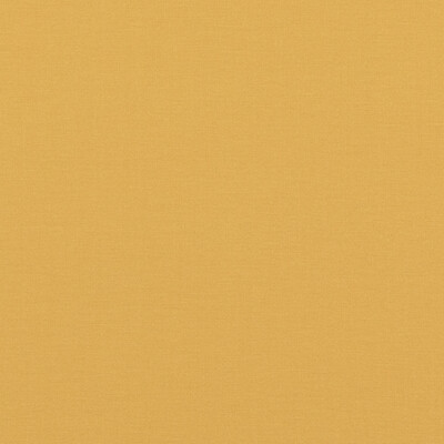 Baker Lifestyle PF50478.840.0 Pavilion Multipurpose Fabric in Ochre/Yellow/Light Yellow