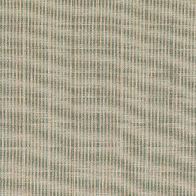 Baker Lifestyle PF50487.725.0 Folly Upholstery Fabric in Aqua/Green/Beige