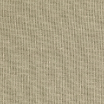 Baker Lifestyle PF50487.735.0 Folly Upholstery Fabric in Green/Beige