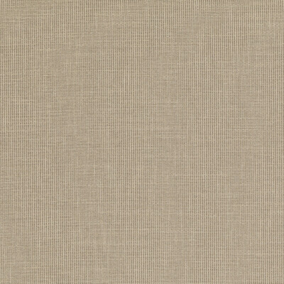 Baker Lifestyle PF50487.930.0 Folly Upholstery Fabric in Pebble/Grey/Beige