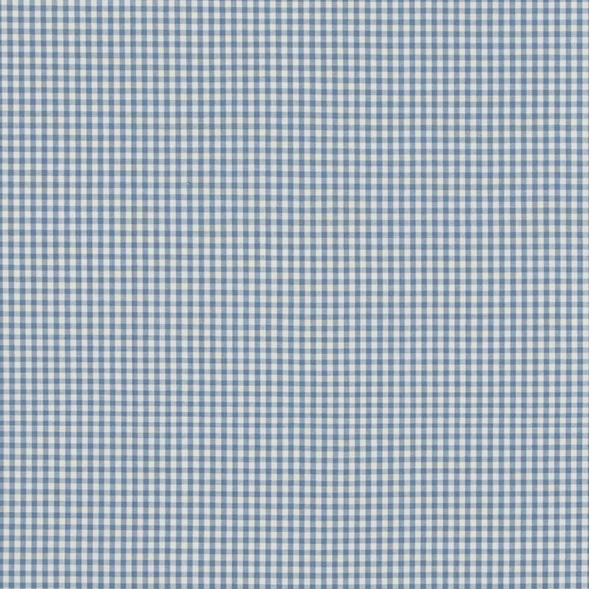 Baker Lifestyle Pf50506.605.0 Sherborne Gingham Multipurpose Fabric in Soft Blue/Blue
