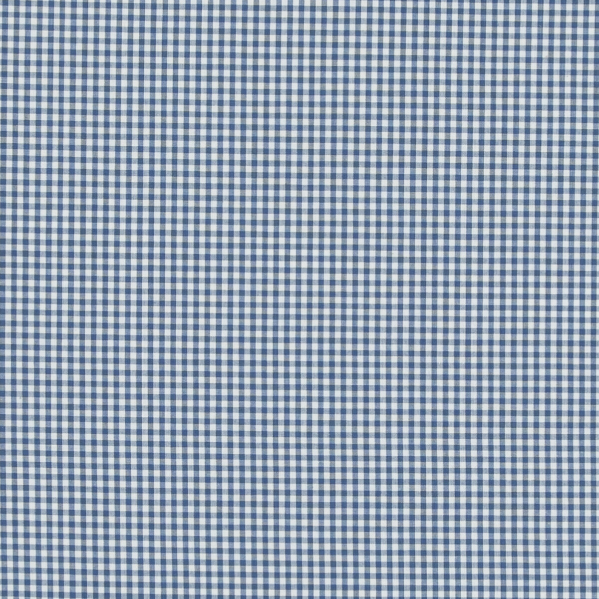 Baker Lifestyle Pf50506.660.0 Sherborne Gingham Multipurpose Fabric in Blue