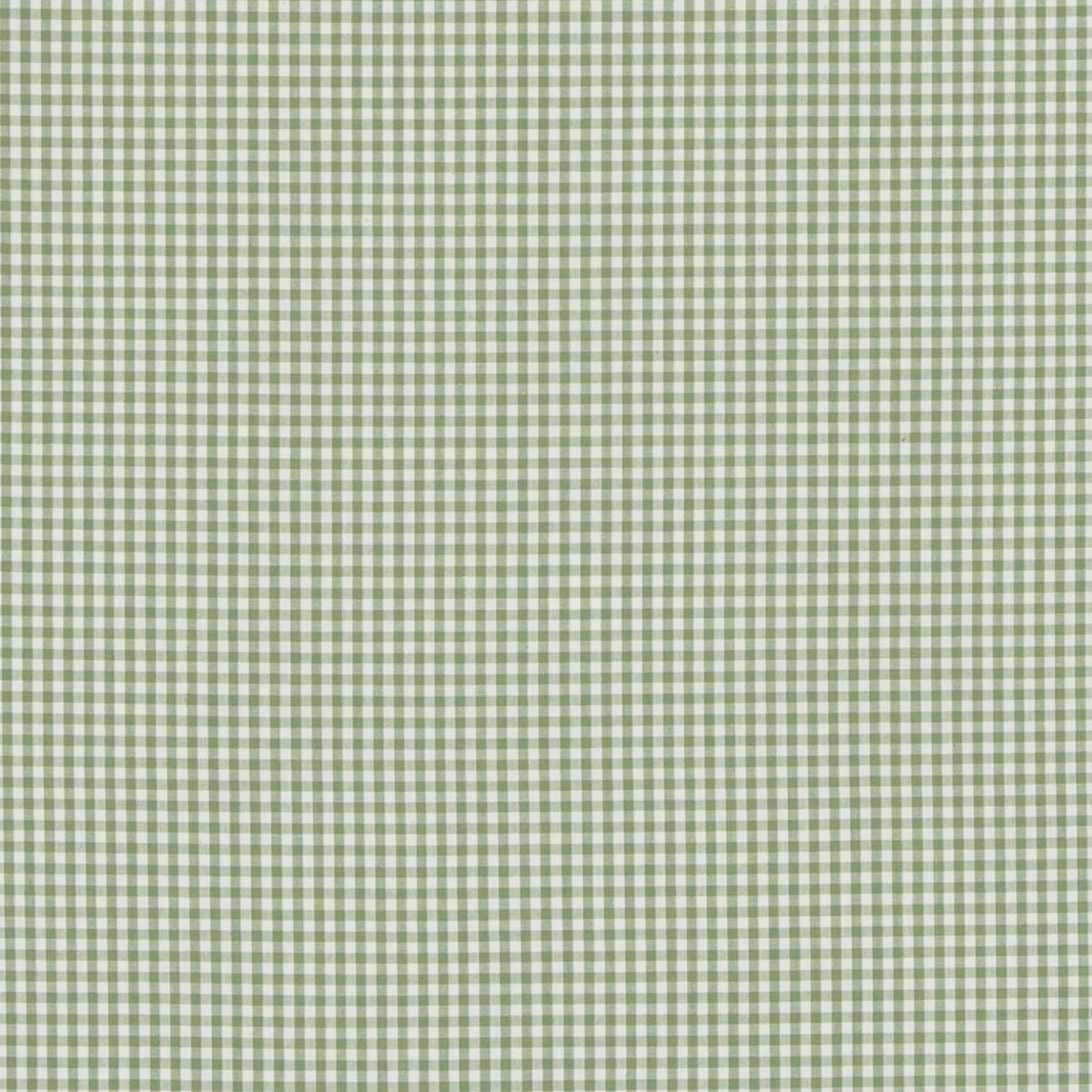 Baker Lifestyle Pf50506.735.0 Sherborne Gingham Multipurpose Fabric in Green