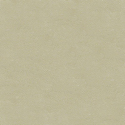 Kravet Design PIETRA.1111.0 Kravet Design Upholstery Fabric in Light Grey , Light Grey , Pietra-1111
