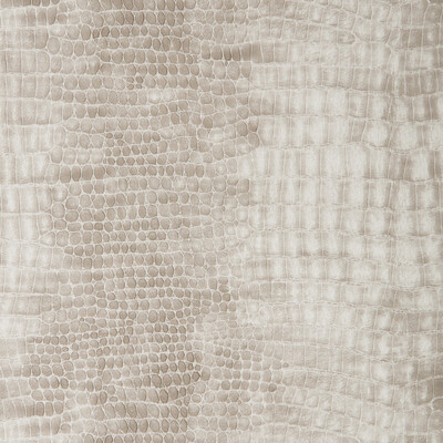 Kravet Design PORTHOS.11.0 Kravet Design Upholstery Fabric in Grey , White , Porthos-11