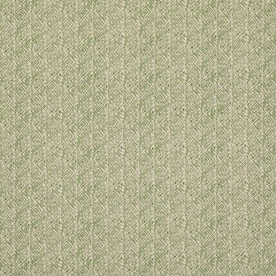 Baker Lifestyle PP50475.1.0 Laberinto Multipurpose Fabric in Emerald/Green/Neutral