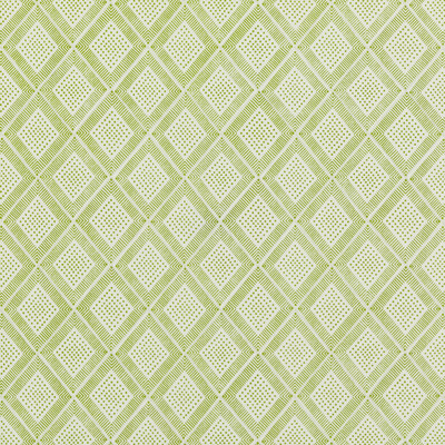 Baker Lifestyle PP50484.5.0 Block Trellis Multipurpose Fabric in Green/White