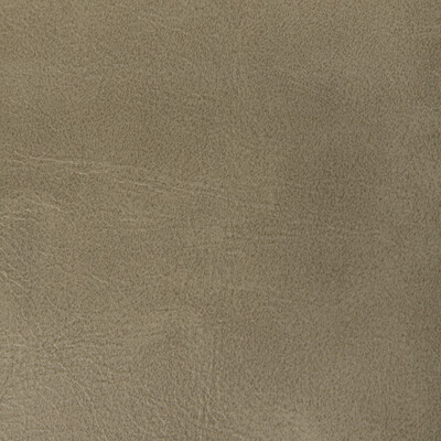 Kravet Contract Rambler.106.0 Rambler Upholstery Fabric in Antler/Bronze/Taupe/Beige